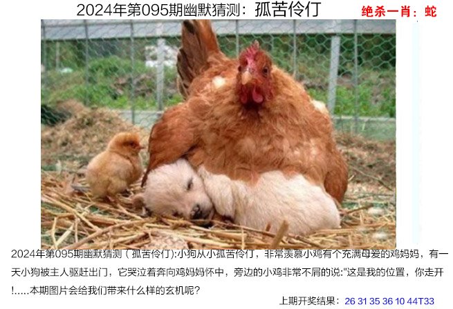 澳门管家婆今晚正版资料,数据整合方案实施_投资版121,127.13