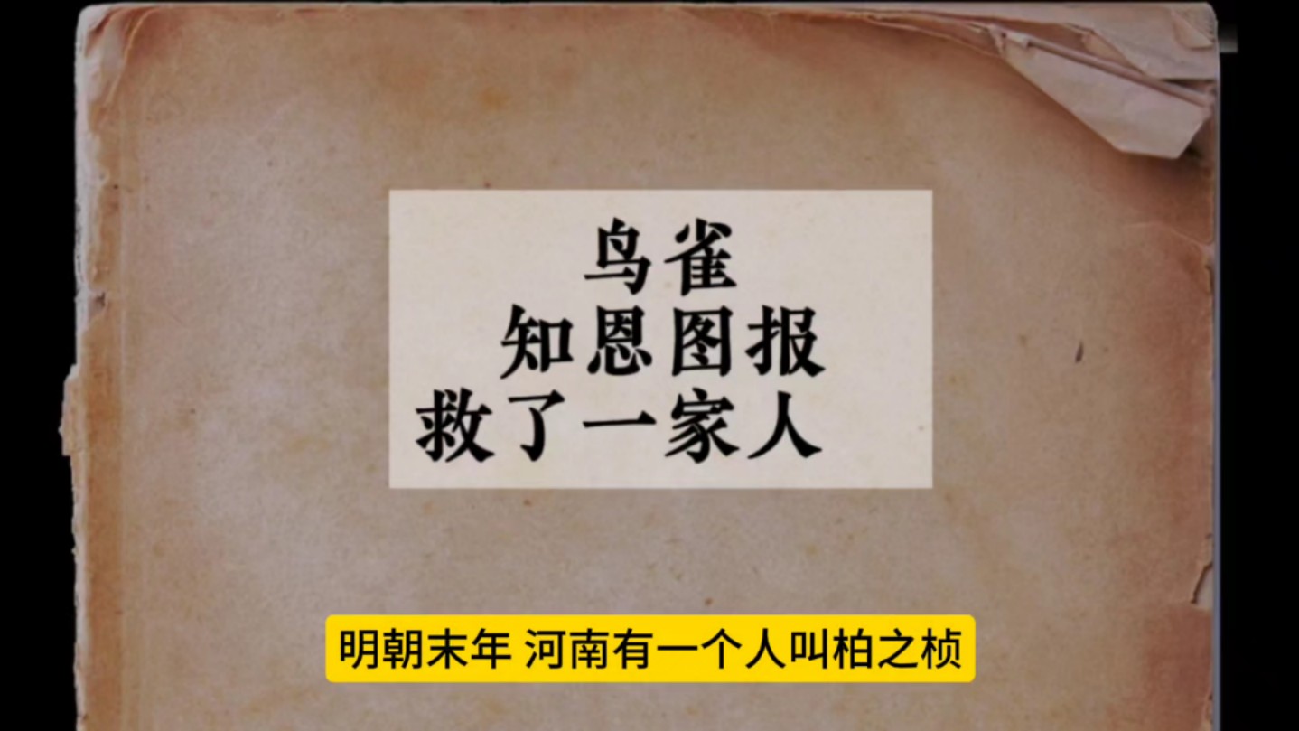 知恩图报是什么生肖,最新答案动态解析_vip2121,127.13