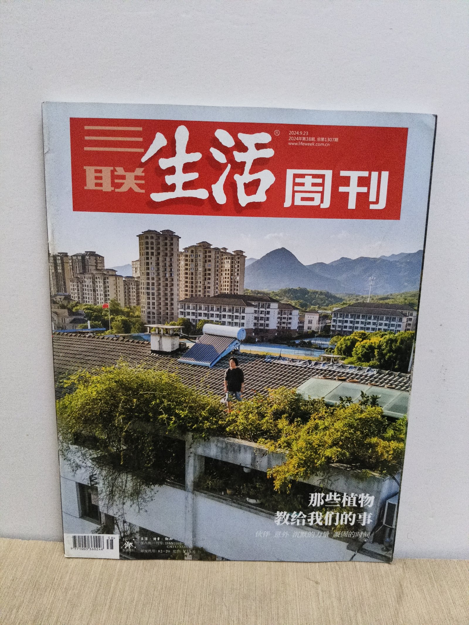 2024今晚香港开特马第38期,数据整合方案实施_投资版121,127.13