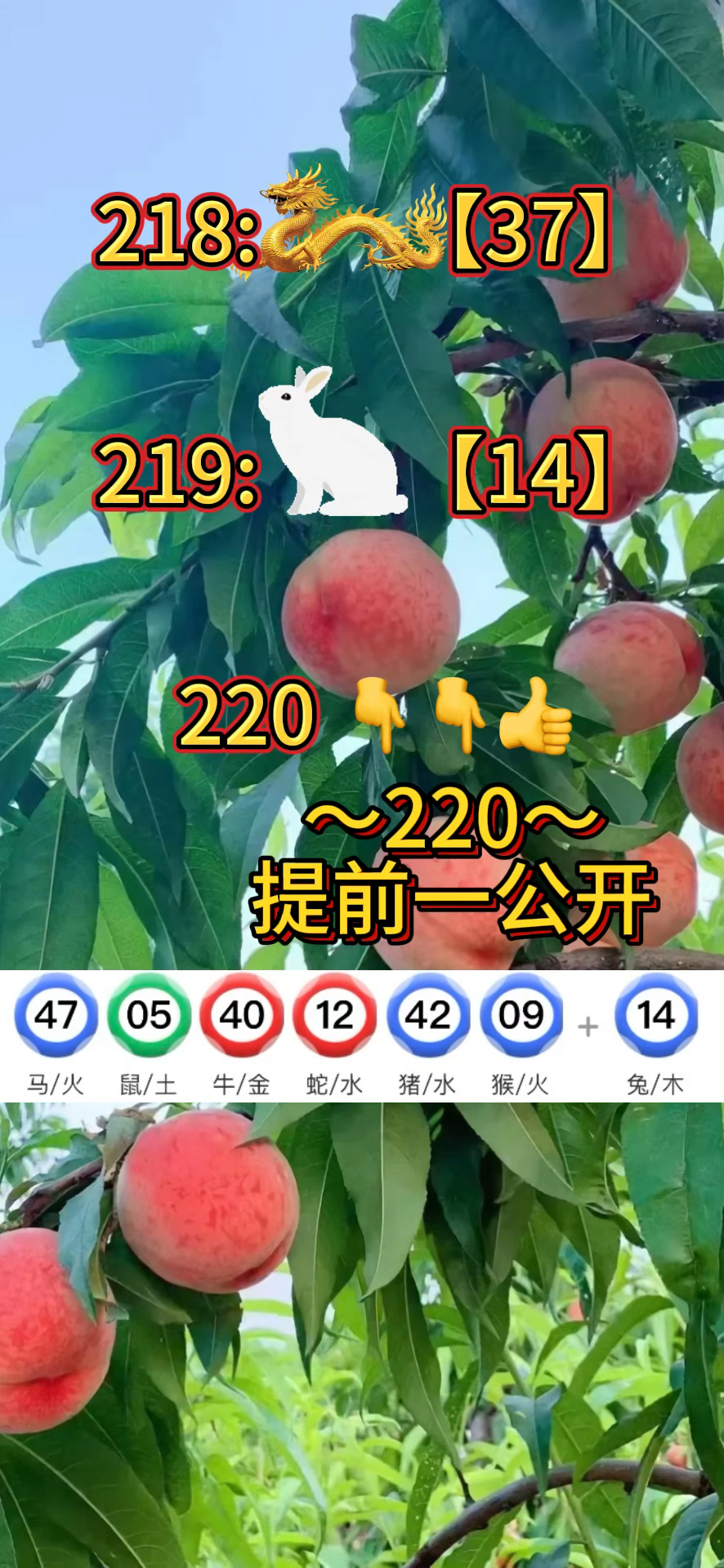 澳门正版资料免费大全2021年m,准确答案解释落实_3DM4121,127.13