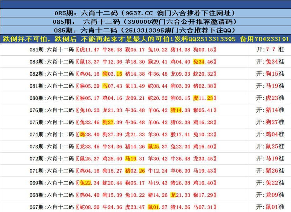 澳门资料～澳门资料库,数据解释落实_整合版121,127.13